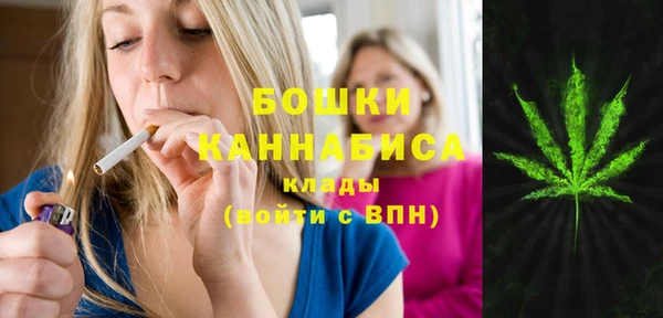 MESCALINE Аркадак