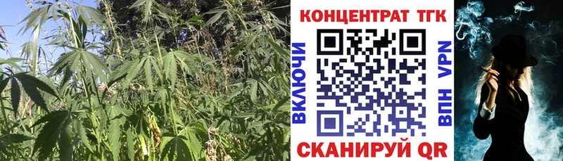 ОМГ ОМГ зеркало  купить  цена  Полярные Зори  ТГК Wax 